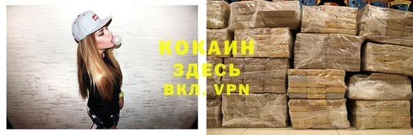 прущие грибы Алзамай