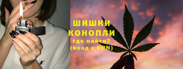 прущие грибы Алзамай