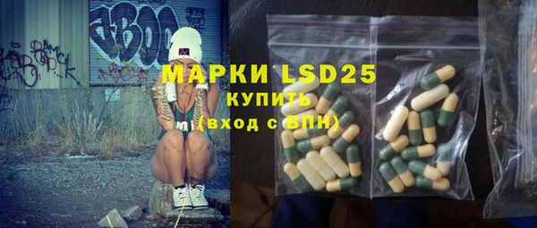 прущие грибы Алзамай