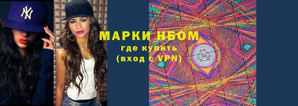 прущие грибы Алзамай