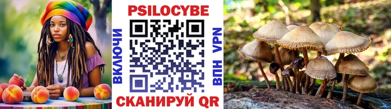 Галлюциногенные грибы ЛСД ссылка на мегу как войти Нижнеудинск